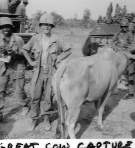Third Herd Great Michelin Rubber Plantation Cattle 1969 Roundup 